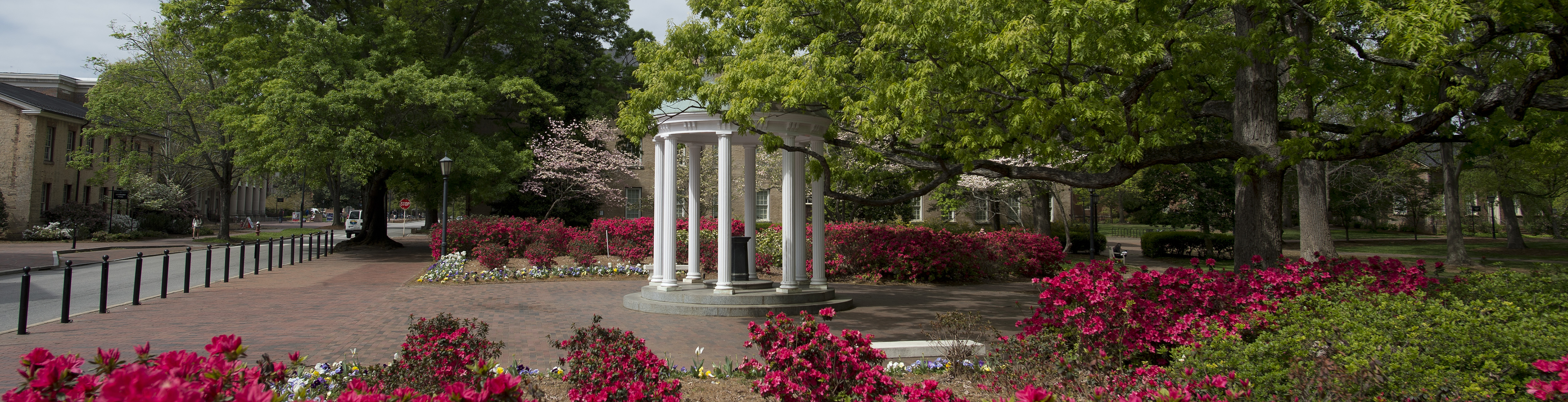 Colorful blossoms surrounding UNC Old Well